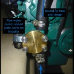Raw Water Pump