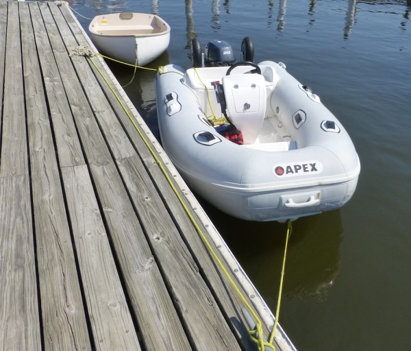 One Fish ready for a trip