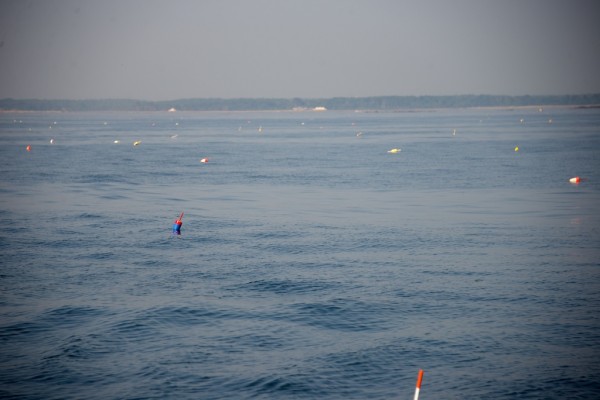 The Lobster Field