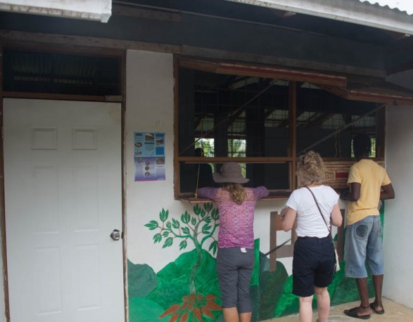 Buying Fresh Casava Bread Buying Fresh Casava Bread