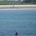 Two Fish between two sand bars