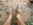 Hiking Shoes