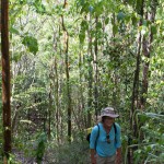 Hiking in Marigot