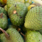 Soursop, not my favorite